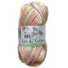 Gomitoli Fior di Cotone 50g Mix Color  n S251