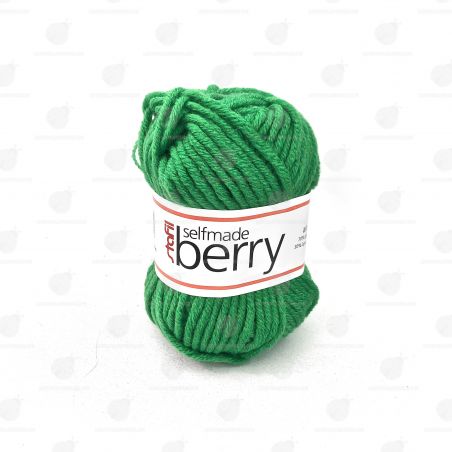 Gomitoli Lana Berry 50gr Verde n°9