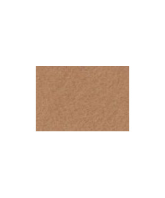 Feltro mm3 Colore Beige cm 50x100