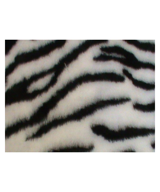 BORD ZEBRA