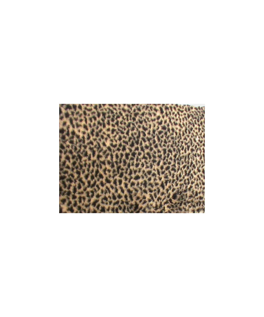 BORD LEOPARDO