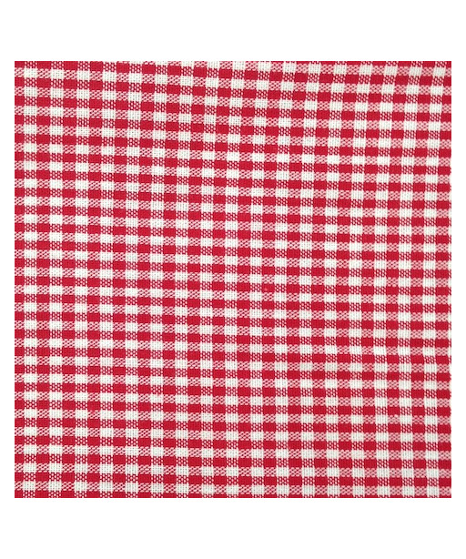 TESSUTO DELUX 100% COTONE ROSSO MINI QUADRETTI N°118