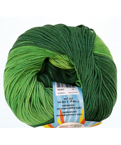 Cotone Polinesia Gr 100-mt330 Colore mix Verde n°6