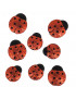 Bottoni Dress It Up "glitter ladybugs" 8pz