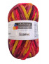 Fomitolo lana lizanne 50gr, 50Lana Vergine-50Poliacrilico Colore Mix n°80