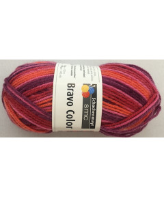 BRAVO COLOR MIX COL N°2102