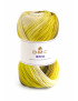 Gomitolo D.M.C. Brio 100g Verde Mix n° 410