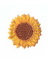 APPLICAZIONE GIRASOLE