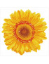 DIAMOND DOTZ diamond painting kit Happy Day Sunflower