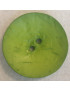DILL TONDO VERDE ACIDO