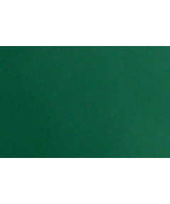 Feltro Tinta Unita Spessore 3mm 50x100cm Verde Bandiera