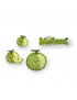 Applicazione termoadesiva frutta, 3x3,5cm/ca melone