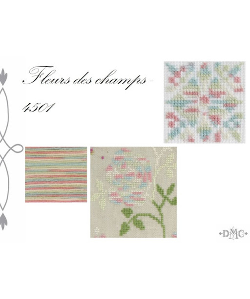 MOULINE' DMC COLORIS FLEURS DES CHAMPS 4501