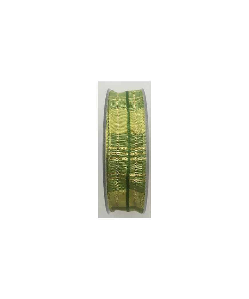 NASTRO ANIMATO QUADRETTATO VERDE