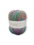 Gomitolo lana Pastel 2.0 150gr mix color n°44