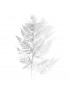 Renkalik decorazione di natale, ramo felce glitter bianco 60cm